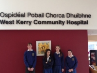 1. Cuairteanna go dtí an ospidéal 2015