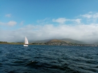 2-Seoltóireacht i gCuan an Daingin, Idirbhliain 2019-MF-2019