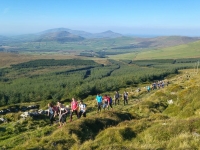 2. Súilóid, Bl 4, Com Amhais, Meán Fómhair 1, 2015