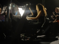 2. Seó Magnifico, Nollaig 9, 2015 (6)