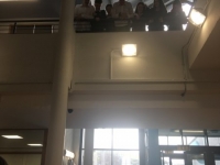 2Titim na huibheacha, Eolaíocht, Bl 4.  Feabhra 2019 (3)