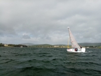 3-Seoltóireacht i gCuan an Daingin, Idirbhliain 2019