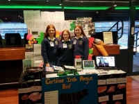 Comórtas Certified Irish Angus Beef , BÁC Márta 13 2018