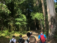 Daltaí-na-hIdirbhliana-sa-Spáinn-ag-siúl-píosa-don-gCamino.-Bealtaine-2019.-2