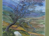 1 Áine Ní Dhubhshláine Bealtaine 2016 (2)