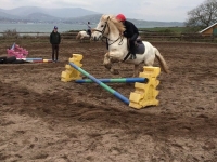 An tseachtain ghníomhach,  Márta 2015 (1)