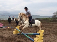 An tseachtain ghníomhach,  Márta 2015 (2)