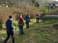 Bl.3, OSSP, Samhain 2016 (4)