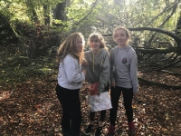Treodóireacht le Bliain 1  sa choill i mBaile Ó Síoda, Trá Lí. Deireadh Fómhair 16, 2018