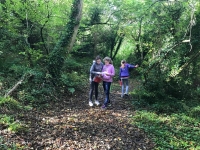 Treodóireacht le Bliain 1  sa choill i mBaile Ó Síoda, Trá Lí. Deireadh Fómhair 16, 2018