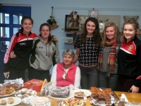 Cispheil Nollaig 2014