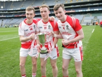 Tom O Donoghue 2014 Corn Ui Ogain (126)